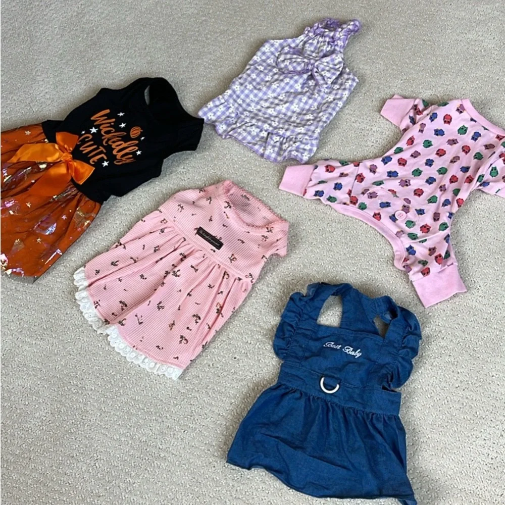 Bundle of dog clothing